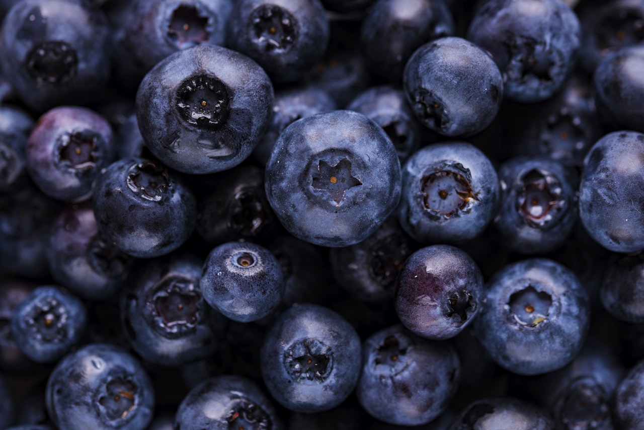 Homework Snack Rules That Prevent Meltdowns